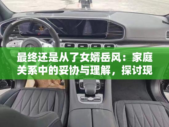 最终还是从了女婿岳风：家庭关系中的妥协与理解，探讨现代家庭价值观的转变