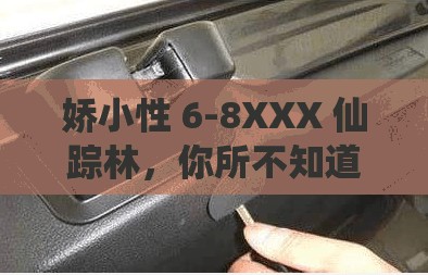 娇小性 6-8XXX 仙踪林，你所不知道的秘密