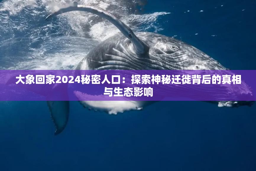 大象回家2024秘密人口：探索神秘迁徙背后的真相与生态影响