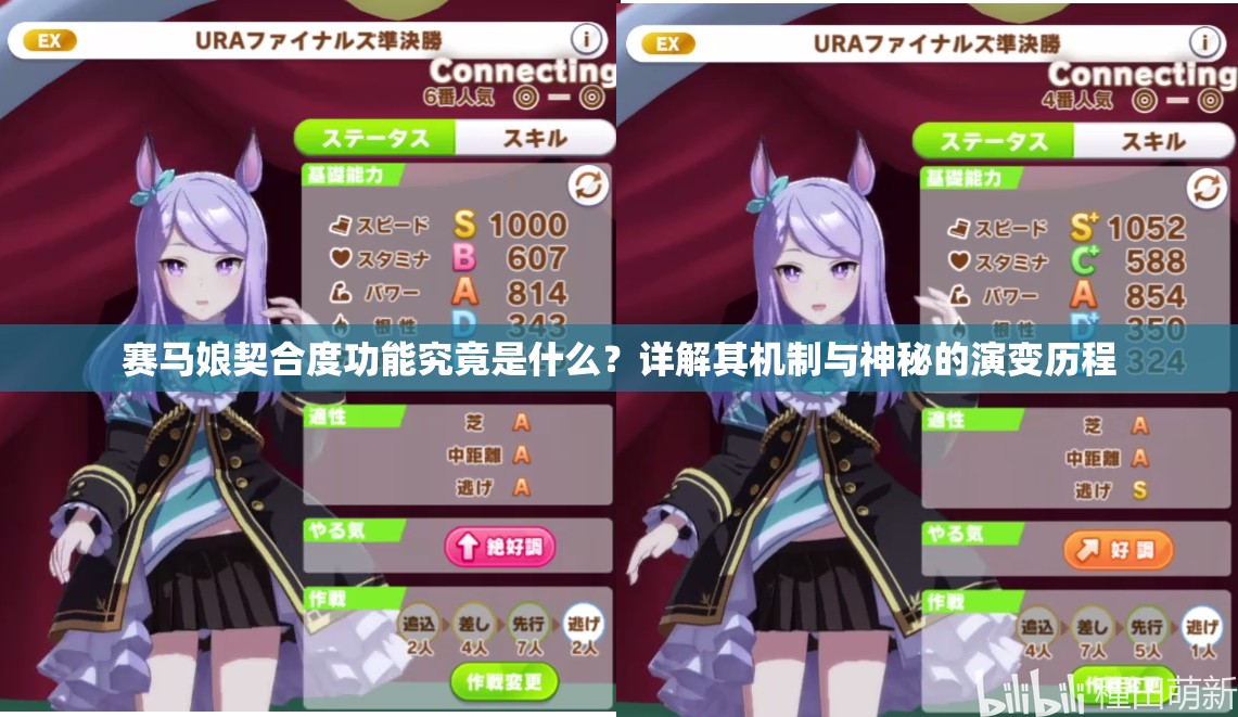 赛马娘契合度功能究竟是什么？详解其机制与神秘的演变历程