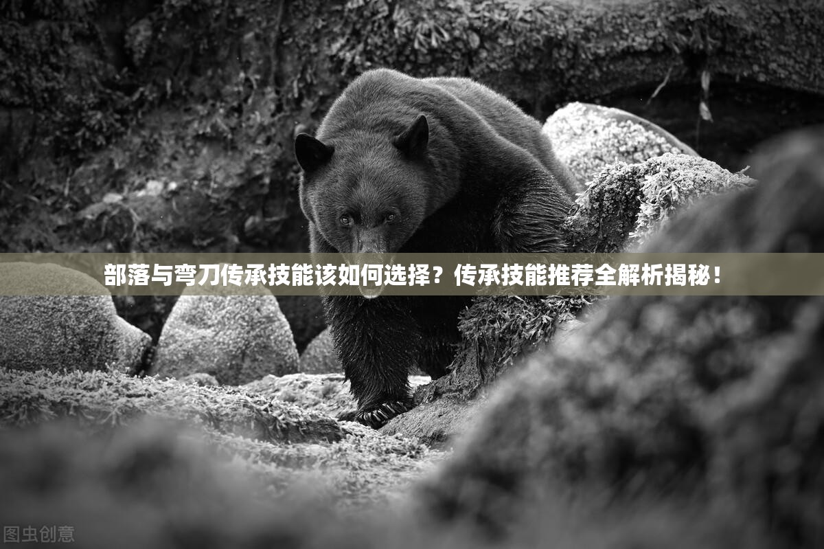 部落与弯刀传承技能该如何选择？传承技能推荐全解析揭秘！