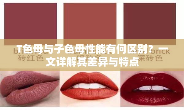 T色母与子色母性能有何区别？一文详解其差异与特点