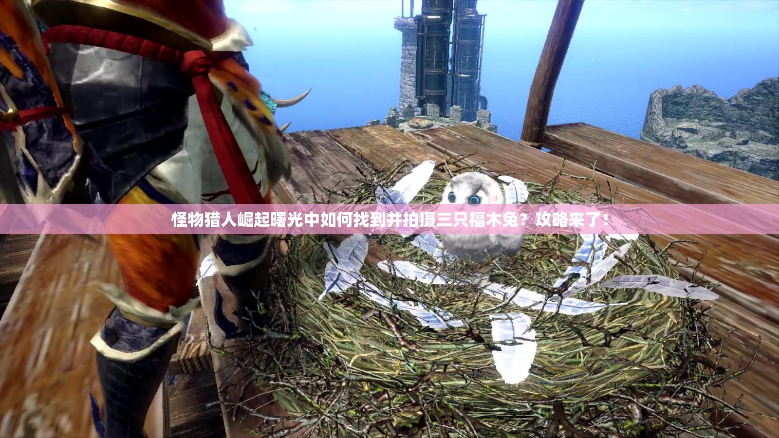 怪物猎人崛起曙光中如何找到并拍摄三只福木兔？攻略来了！
