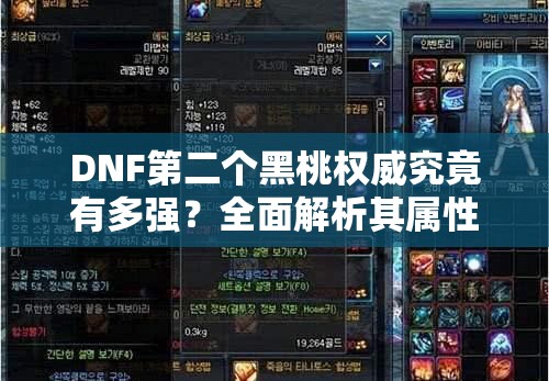 DNF第二个黑桃权威究竟有多强？全面解析其属性一览！