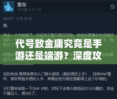 代号致金庸究竟是手游还是端游？深度攻略为你揭秘！