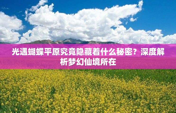 光遇蝴蝶平原究竟隐藏着什么秘密？深度解析梦幻仙境所在