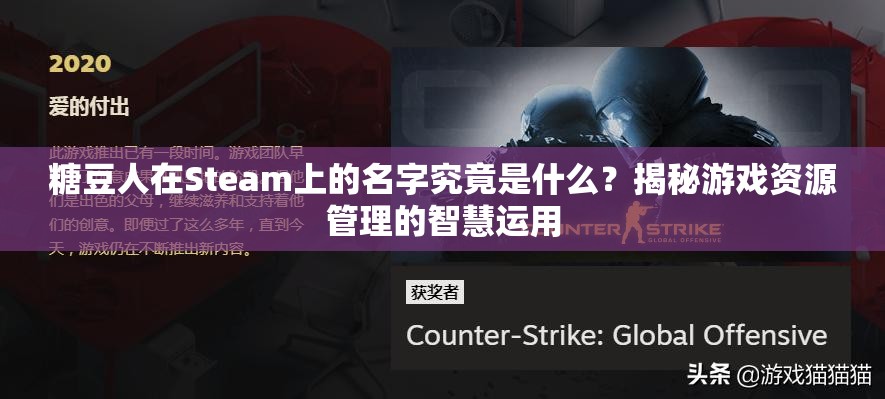 糖豆人在Steam上的名字究竟是什么？揭秘游戏资源管理的智慧运用