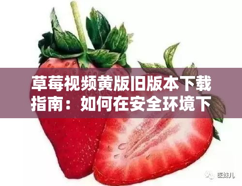 草莓视频黄版旧版本下载指南：如何在安全环境下获取并安装旧版应用？