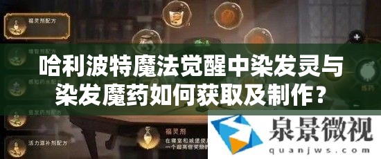 哈利波特魔法觉醒中染发灵与染发魔药如何获取及制作？