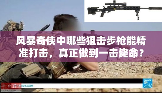 风暴奇侠中哪些狙击步枪能精准打击，真正做到一击毙命？