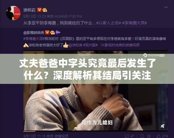 丈夫爸爸中字头究竟最后发生了什么？深度解析其结局引关注