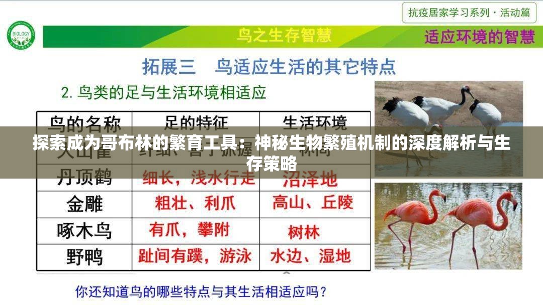 探索成为哥布林的繁育工具：神秘生物繁殖机制的深度解析与生存策略