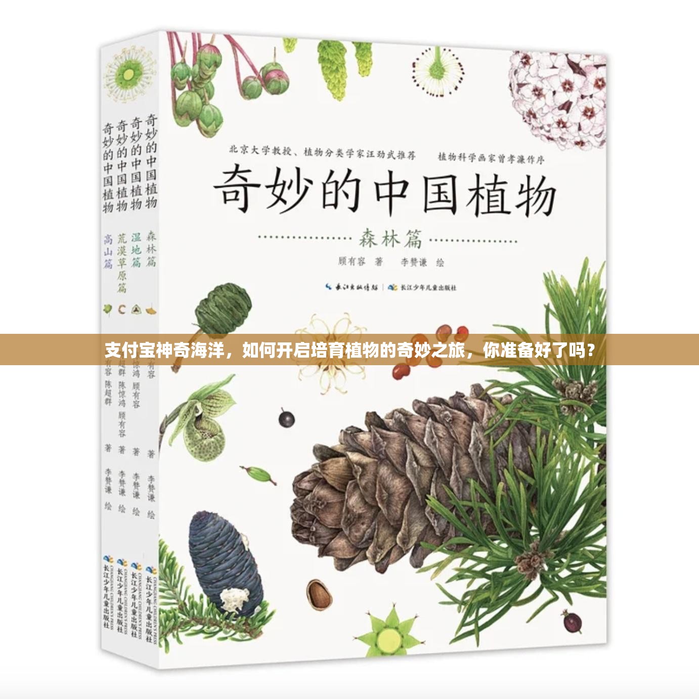 支付宝神奇海洋，如何开启培育植物的奇妙之旅，你准备好了吗？