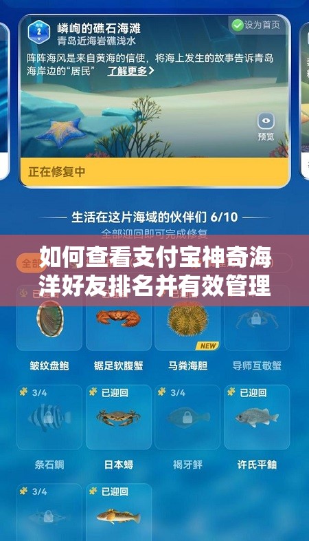 如何查看支付宝神奇海洋好友排名并有效管理海洋资源？