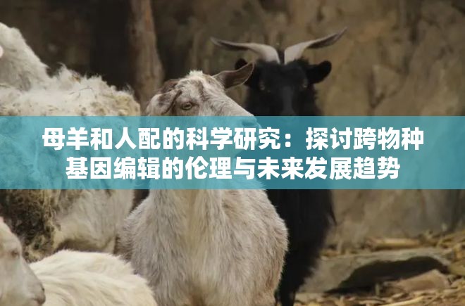母羊和人配的科学研究：探讨跨物种基因编辑的伦理与未来发展趋势