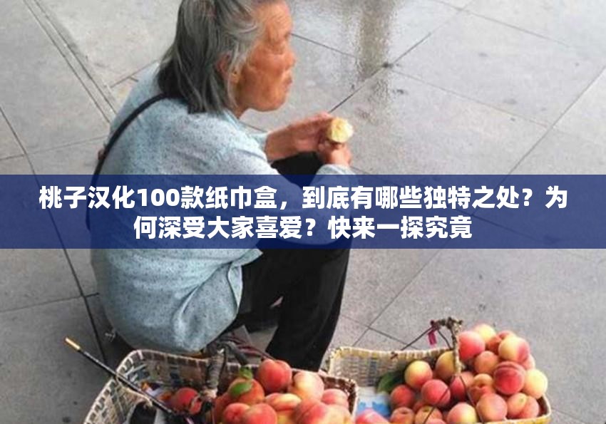 桃子汉化100款纸巾盒，到底有哪些独特之处？为何深受大家喜爱？快来一探究竟