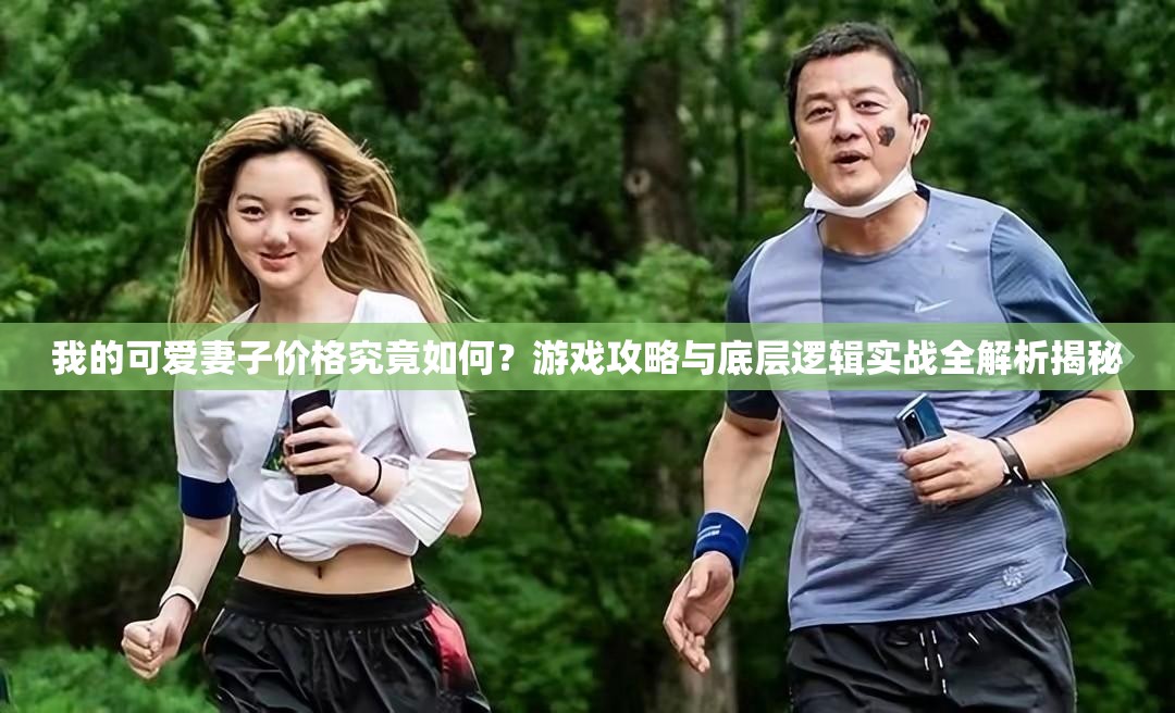 我的可爱妻子价格究竟如何？游戏攻略与底层逻辑实战全解析揭秘