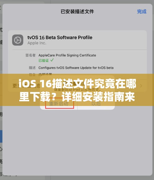 iOS 16描述文件究竟在哪里下载？详细安装指南来了吗？