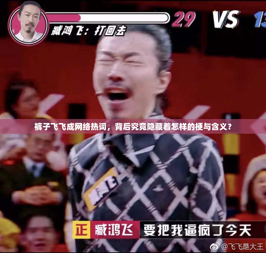 裤子飞飞成网络热词，背后究竟隐藏着怎样的梗与含义？