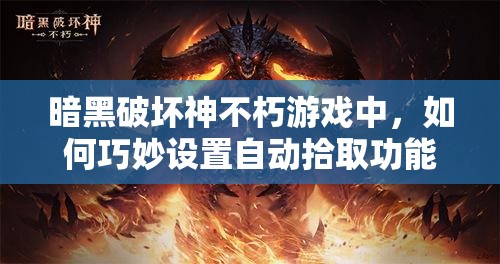 暗黑破坏神不朽游戏中，如何巧妙设置自动拾取功能提升效率？
