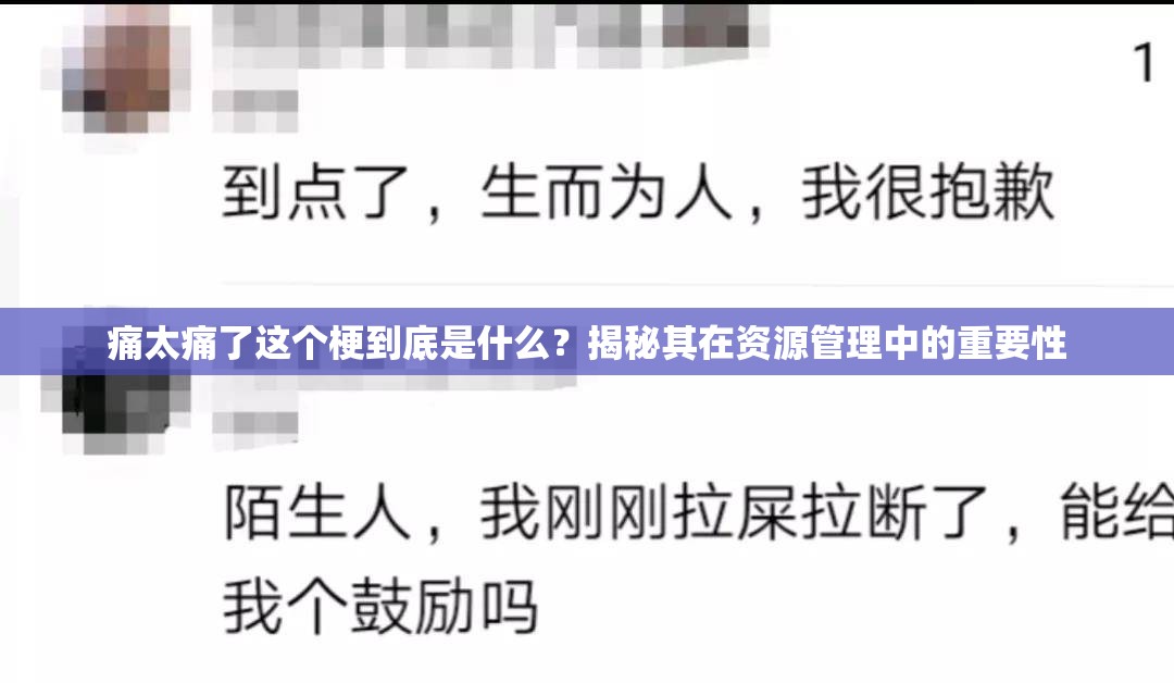 痛太痛了这个梗到底是什么？揭秘其在资源管理中的重要性