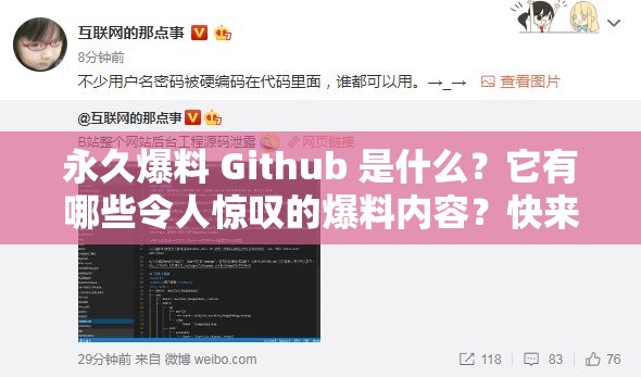 永久爆料 Github 是什么？它有哪些令人惊叹的爆料内容？快来一探究竟