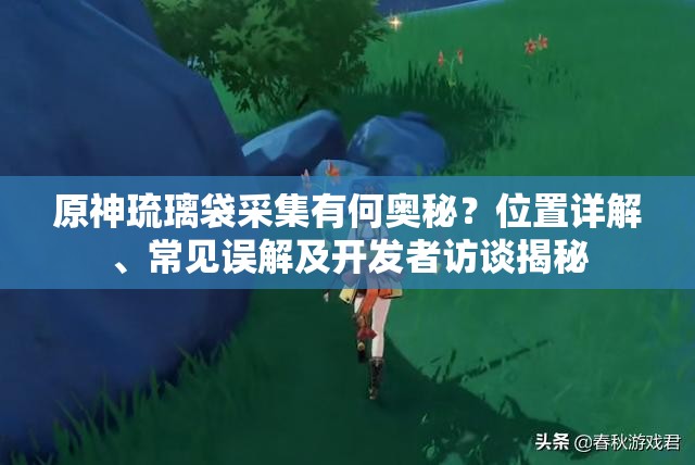 原神琉璃袋采集有何奥秘？位置详解、常见误解及开发者访谈揭秘