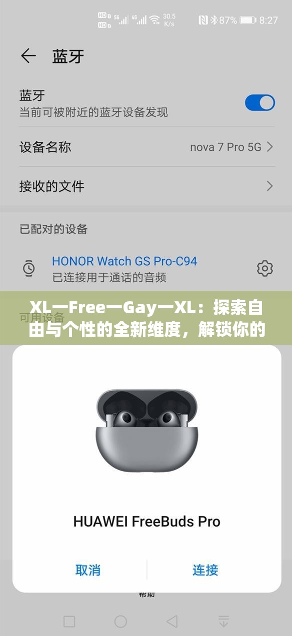 XL一Free一Gay一XL：探索自由与个性的全新维度，解锁你的独特魅力与无限可能