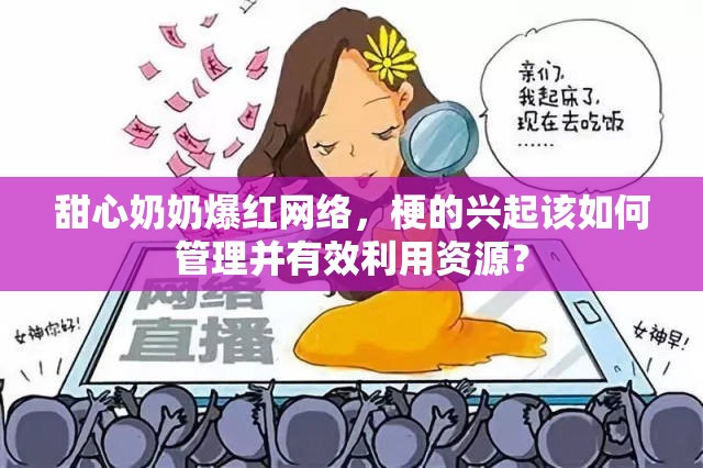 甜心奶奶爆红网络，梗的兴起该如何管理并有效利用资源？