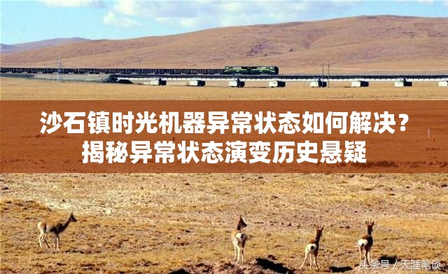 沙石镇时光机器异常状态如何解决？揭秘异常状态演变历史悬疑