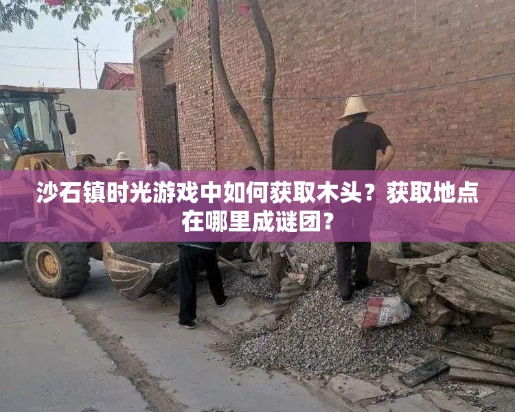 沙石镇时光游戏中如何获取木头？获取地点在哪里成谜团？