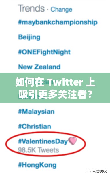 如何在 Twitter 上吸引更多关注者？