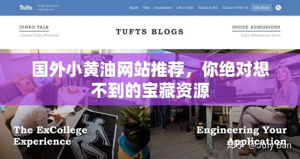 国外小黄油网站推荐，你绝对想不到的宝藏资源