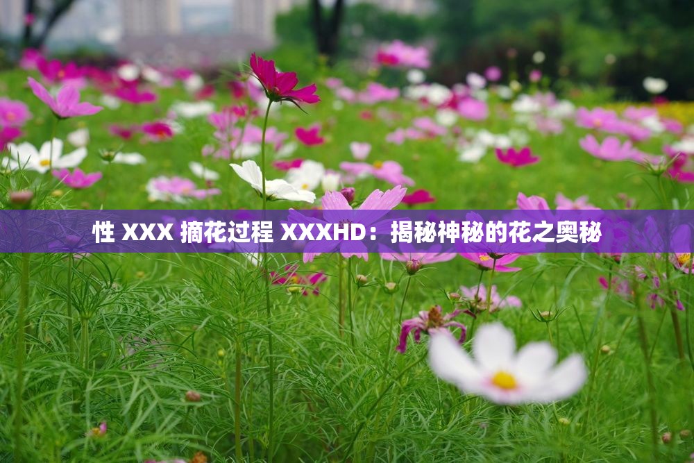 性 XXX 摘花过程 XXXHD：揭秘神秘的花之奥秘