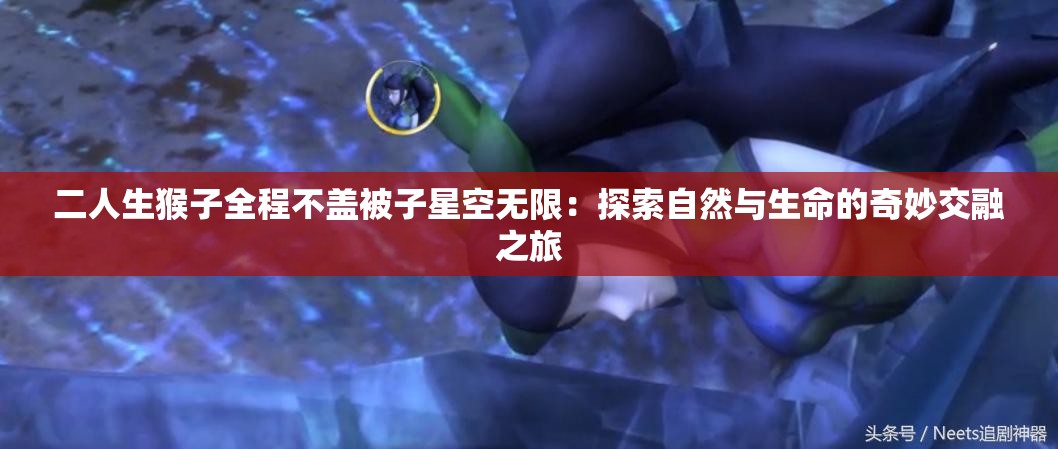 二人生猴子全程不盖被子星空无限：探索自然与生命的奇妙交融之旅