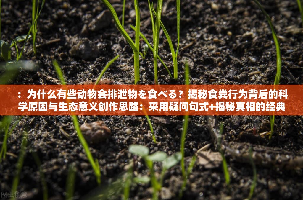 ：为什么有些动物会排泄物を食べる？揭秘食粪行为背后的科学原因与生态意义创作思路：采用疑问句式+揭秘真相的经典结构，先引发读者好奇心，再通过科学原因、生态意义等专业词汇建立权威性保留完整日文关键词的同时，添加动物作为自然关联词提升搜索覆盖，末尾增加不同物种的生存策略扩展长尾关键词，整体符合百度对知识科普类内容的推荐算法