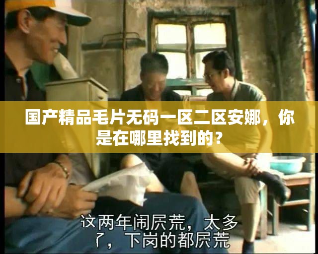 国产精品毛片无码一区二区安娜，你是在哪里找到的？