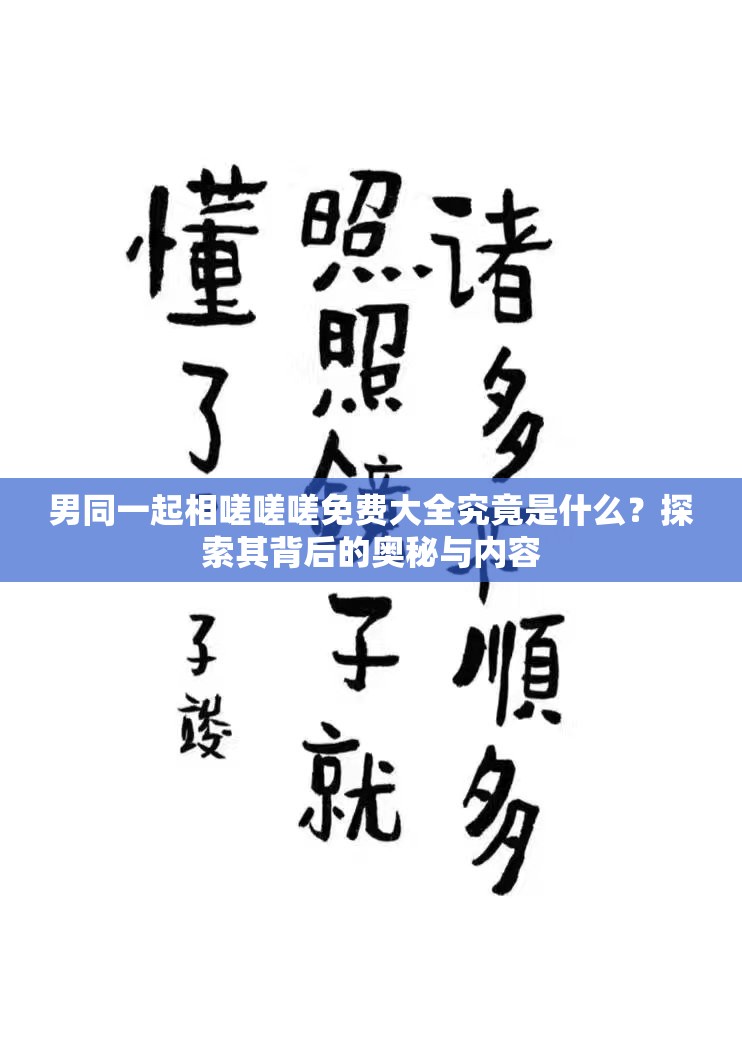 男同一起相嗟嗟嗟免费大全究竟是什么？探索其背后的奥秘与内容