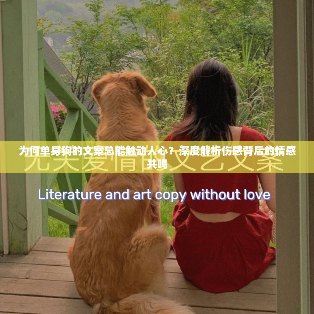 为何单身狗的文案总能触动人心？深度解析伤感背后的情感共鸣