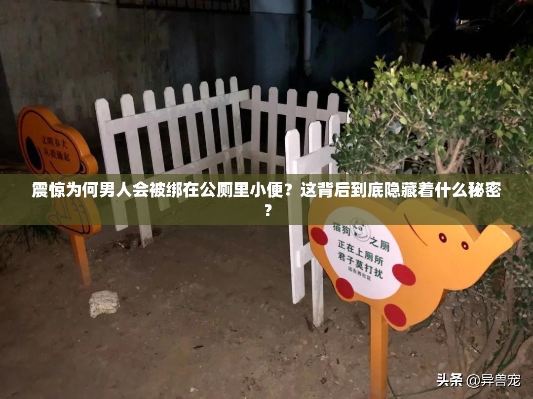 震惊为何男人会被绑在公厕里小便？这背后到底隐藏着什么秘密？