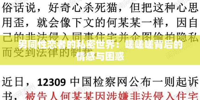 男同性恋者的私密世界：嗟嗟嗟背后的情感与困惑