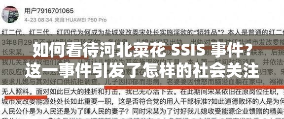 如何看待河北菜花 SSIS 事件？这一事件引发了怎样的社会关注？