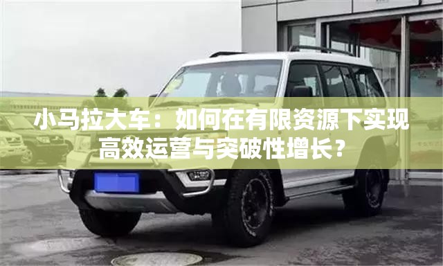 小马拉大车：如何在有限资源下实现高效运营与突破性增长？