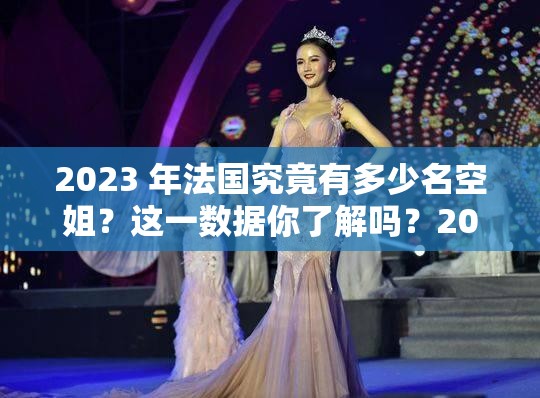 2023 年法国究竟有多少名空姐？这一数据你了解吗？2023 法国空姐数量成谜，究竟有多少？快来一探究竟想知道 2023 年法国有多少名空姐吗？答案等你来揭晓