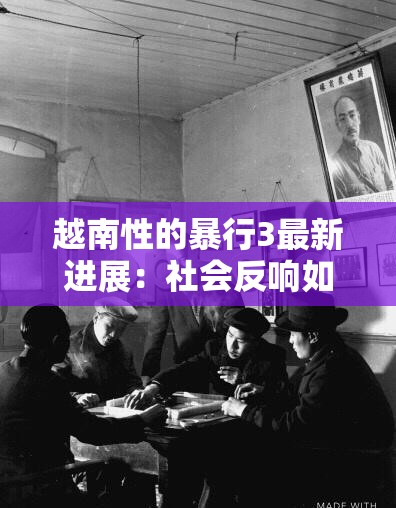 越南性的暴行3最新进展：社会反响如何？网友热议话题深度解析（注：完整保留越南性的暴行3关键词，采用疑问词+热点事件+讨论延伸的网民关注模式，通过最新进展强化时效性，社会反响-网友热议触发共情搜索需求，深度解析满足信息获取需求，符合百度搜索长尾词规律且语句自然流畅）