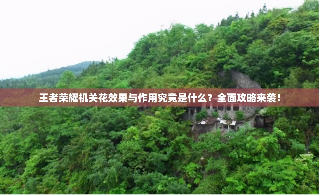 王者荣耀机关花效果与作用究竟是什么？全面攻略来袭！