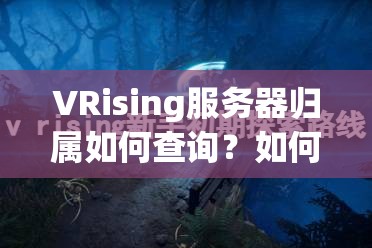 VRising服务器归属如何查询？如何辨别吸血鬼崛起游戏是官服还是私服？