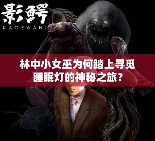 林中小女巫为何踏上寻觅睡眠灯的神秘之旅？