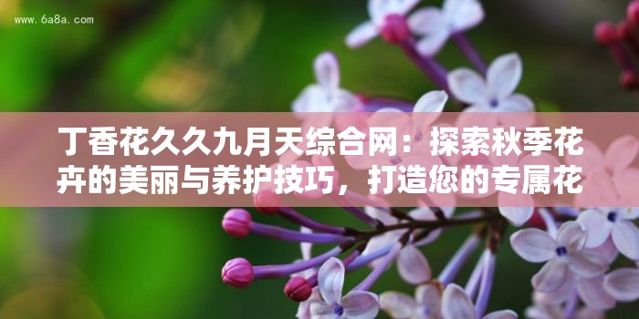 丁香花久久九月天综合网：探索秋季花卉的美丽与养护技巧，打造您的专属花园