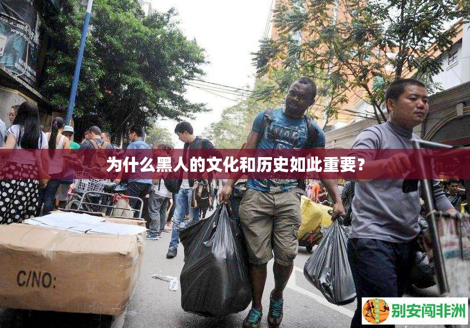 为什么黑人的文化和历史如此重要？
